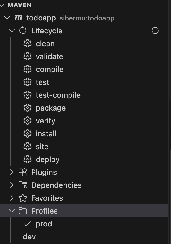 java maven in vscode